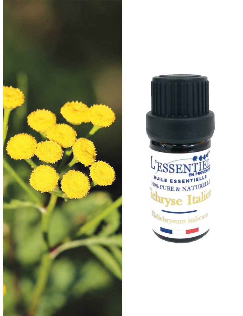 Huile essentielle bio d'Hélichryse ou Immortelle (Helichrysum italicum)