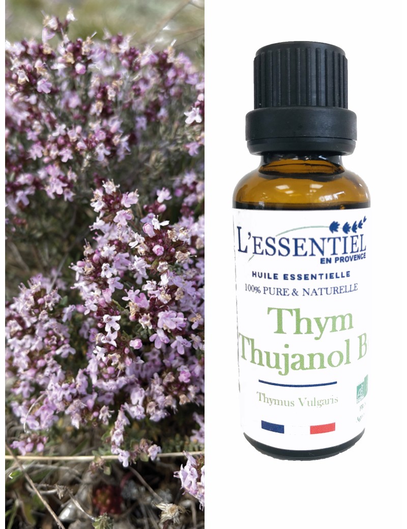 Thym bio* FRANCE (Thymus vulgaris)