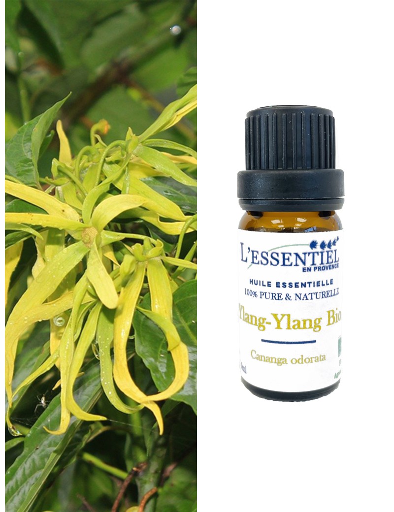 L'Huile Essentielle Ylang Ylang 100ml - Cananga Odorata - Huile  Aromathérapie - 100% Naturelle - Huile Ylang-Ylang pour la Peau et les  Cheveux - les