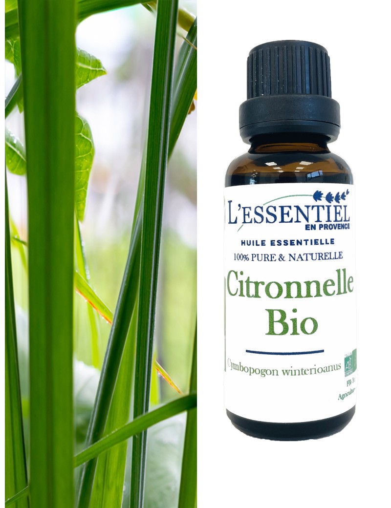 Huile Essentielle BIO de Citronnelle, Bienfaits de l'Huile Essentielle de  Citronnelle