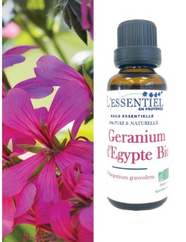 Camomille romaine - Huile essentielle bio - Salvia Nutrition - 2 ml