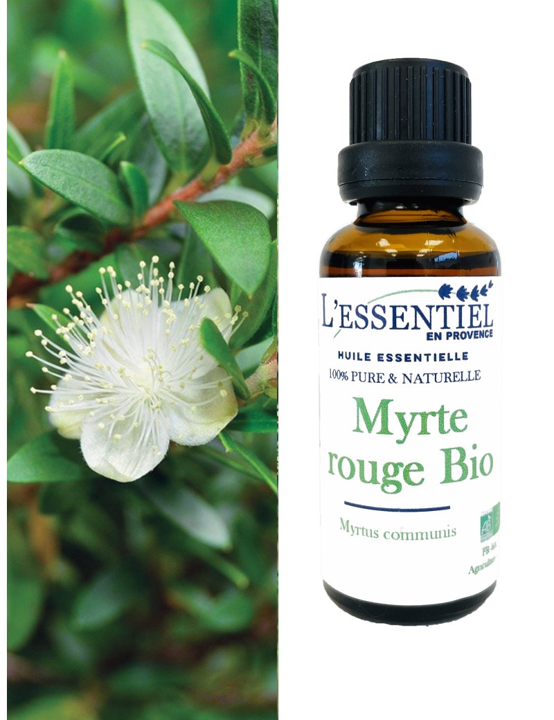 Huile essentielle Biologique de Myrte rouge - L'essentiel en Provence