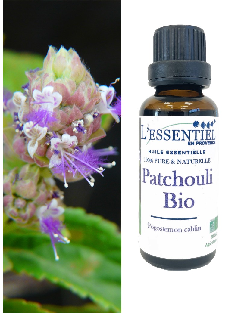 Huile essentielle Biologique de Patchouli L