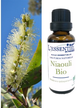 Bougie naturelle à l'huile essentielle de Niaouli