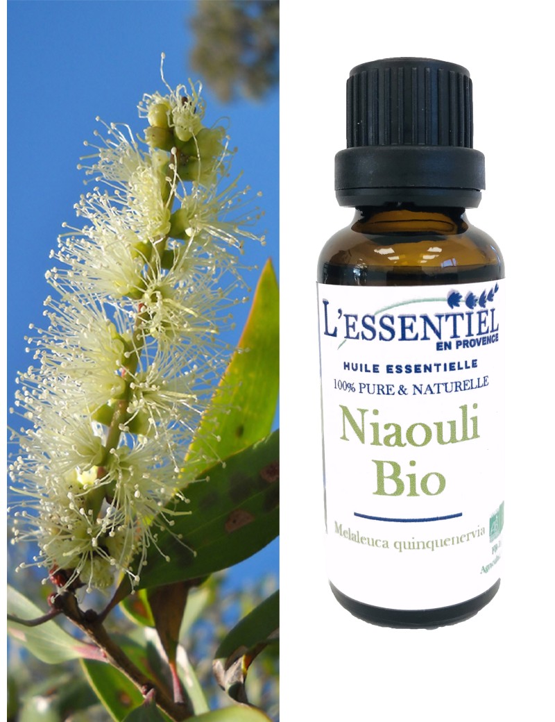 Huile essentielle de Niaouli Bio - 10 ml