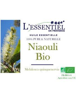 Bougie naturelle à l'huile essentielle de Niaouli